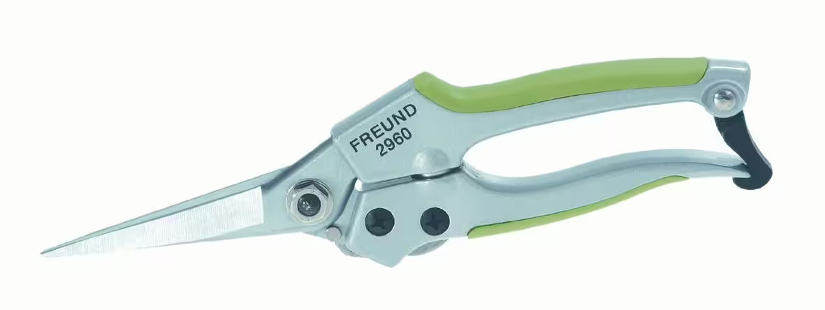 Ciseaux à bonsaï Freund 2960