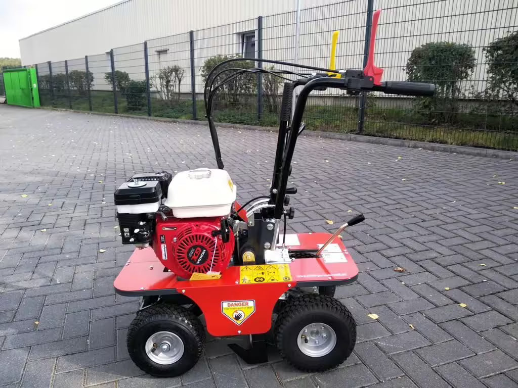 Machine à pelage de pelouse Benassi L300 30cm