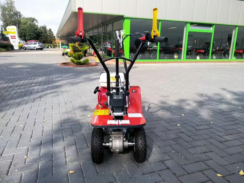Machine à pelage de pelouse Benassi L300 30cm