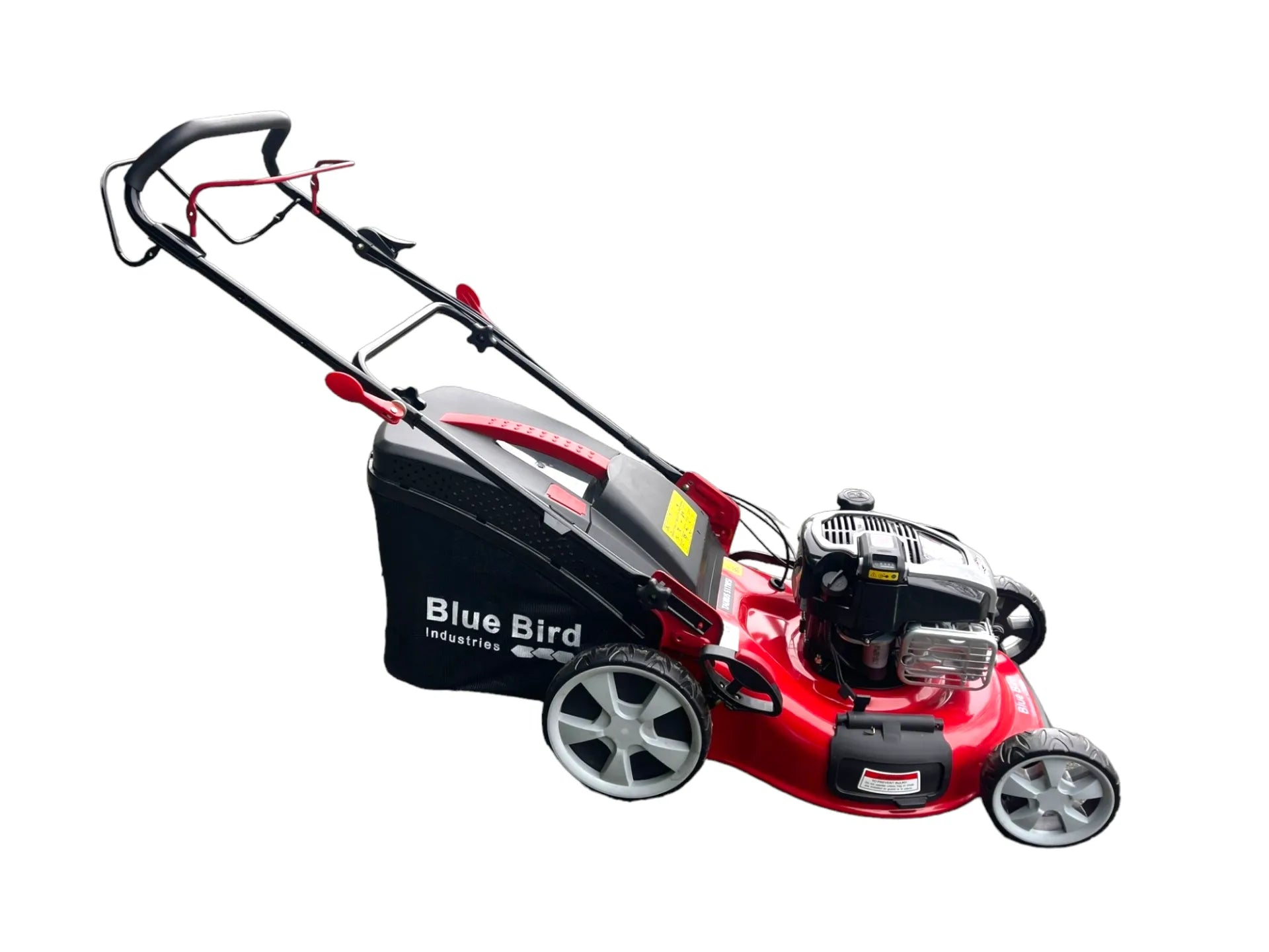 Blue Bird Taurus 51 TWSI (démarrage électrique)