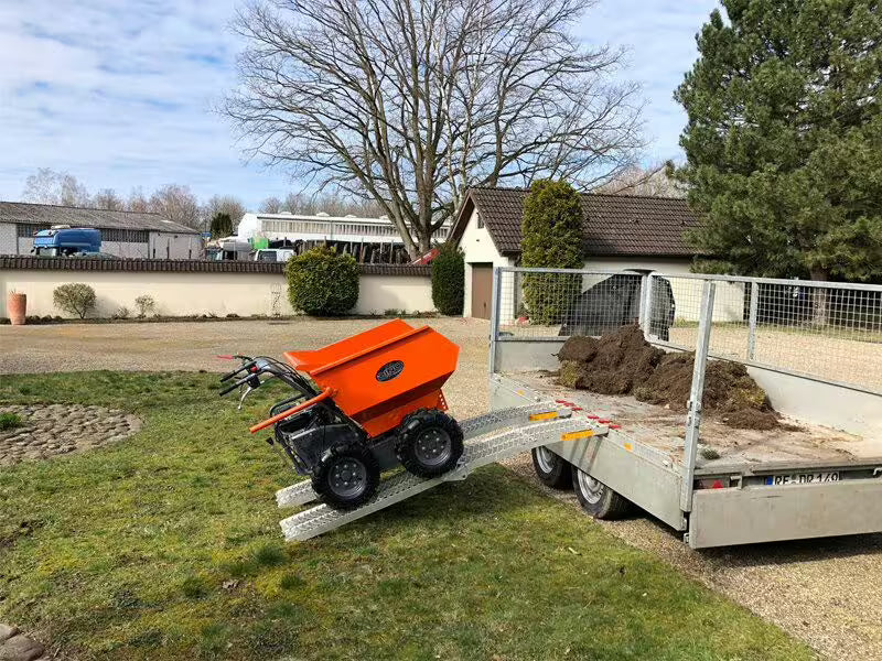 Tombereau DINO à 6 roues motrices avec benne basculante de 500 kg, Loncin 6,5 CV - 196 cm3