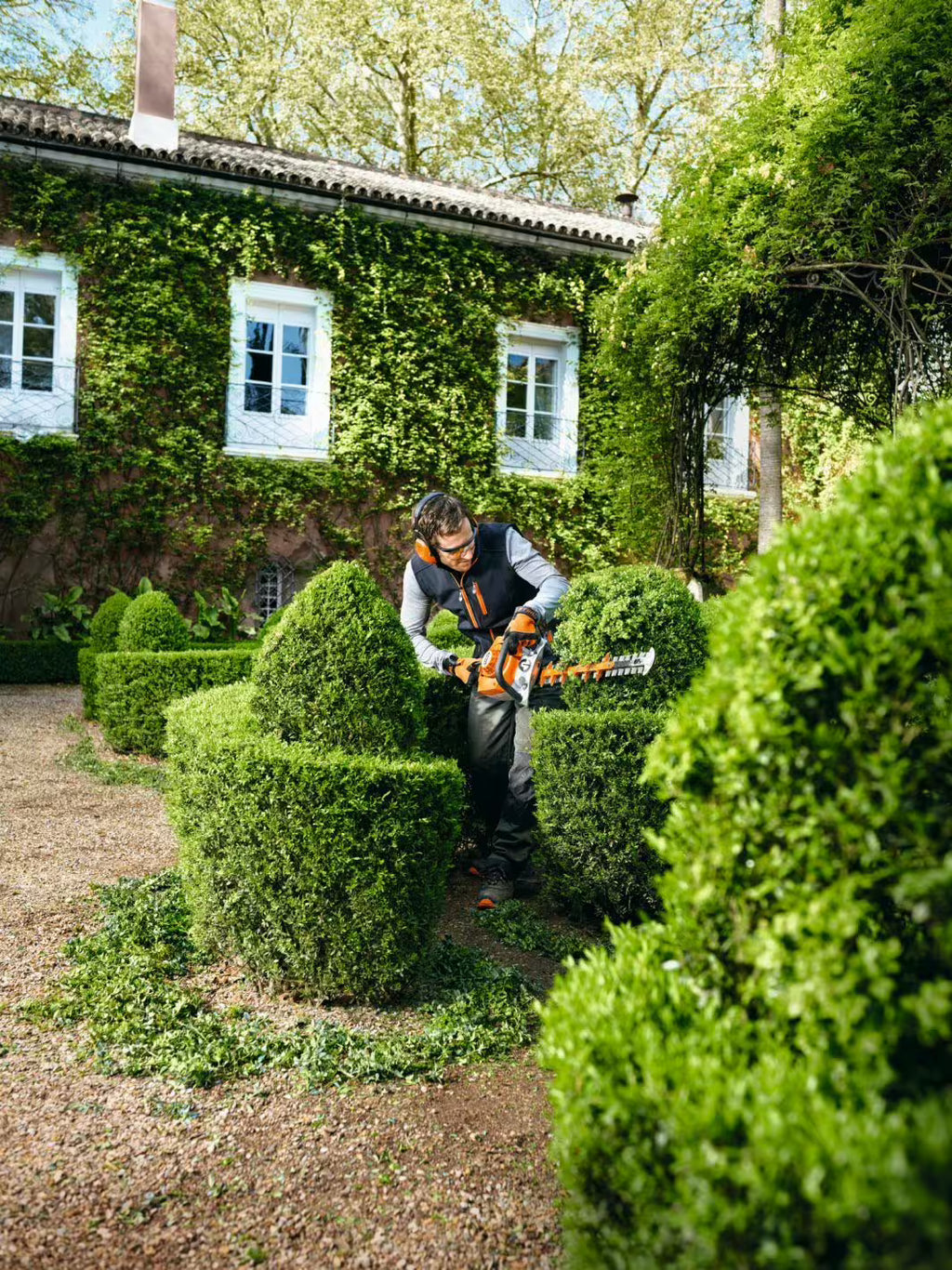 Taille-haies à essence Stihl HS 56 C